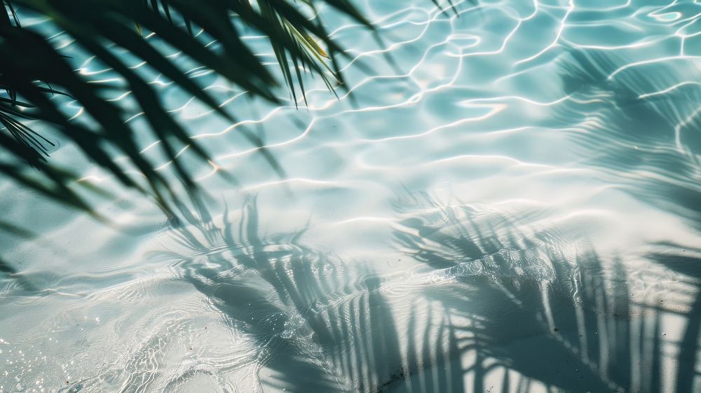 Sea water and coconut leaf shadow reflections tropical shadows.