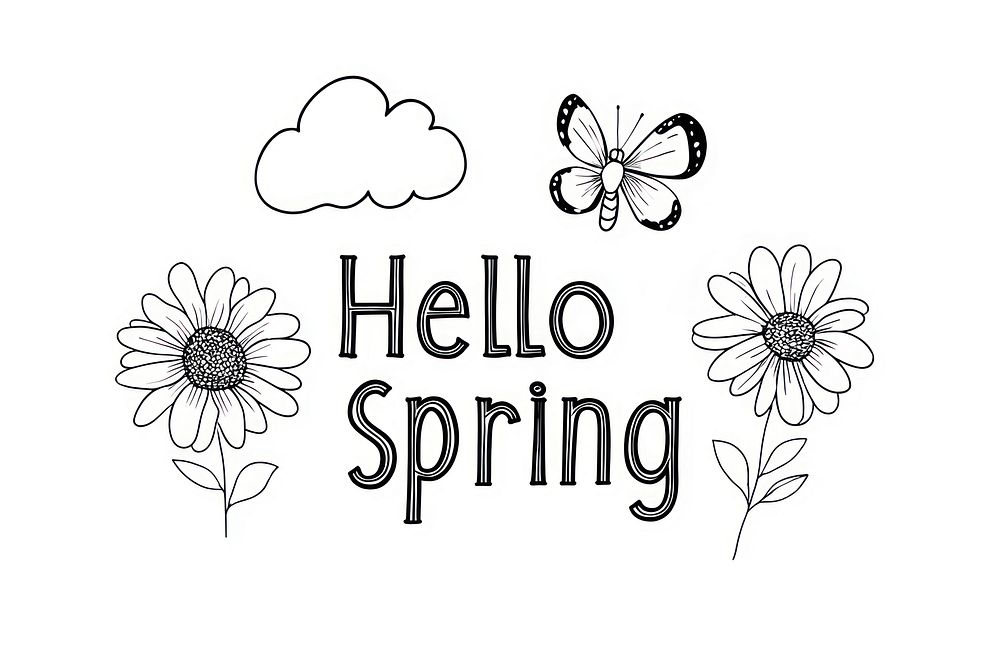 Hello Spring flowers daisy art.