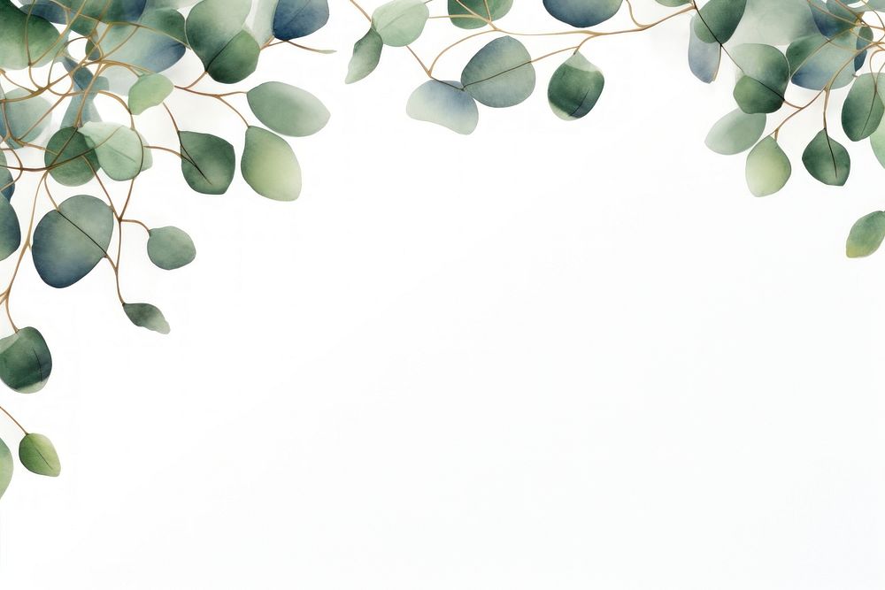 Eucalyptus leaves leaf illustration background.