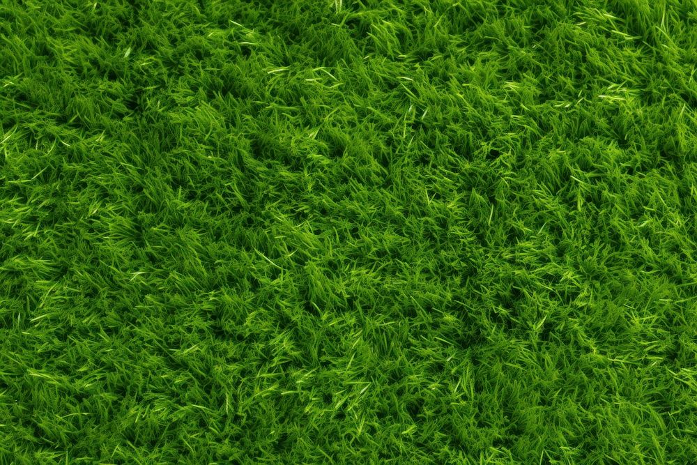 Grass texture for a football green background natural.