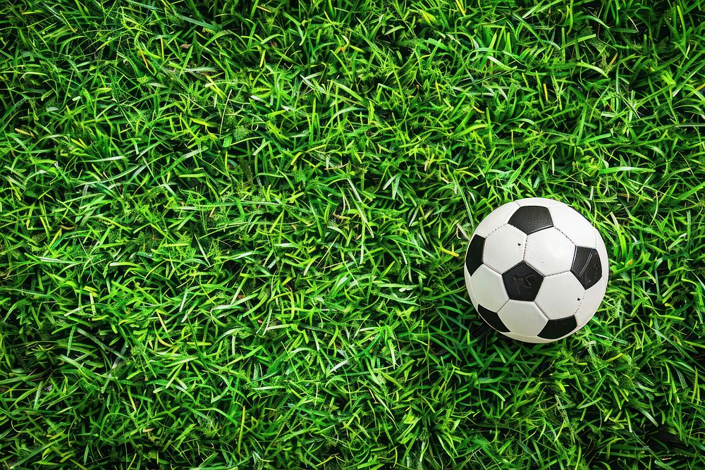 Football pitch top view background soccer sports.