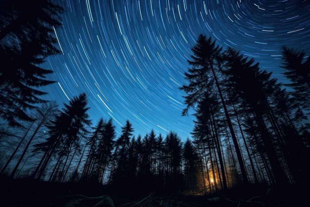 Night sky in the wood exposure nature forest.