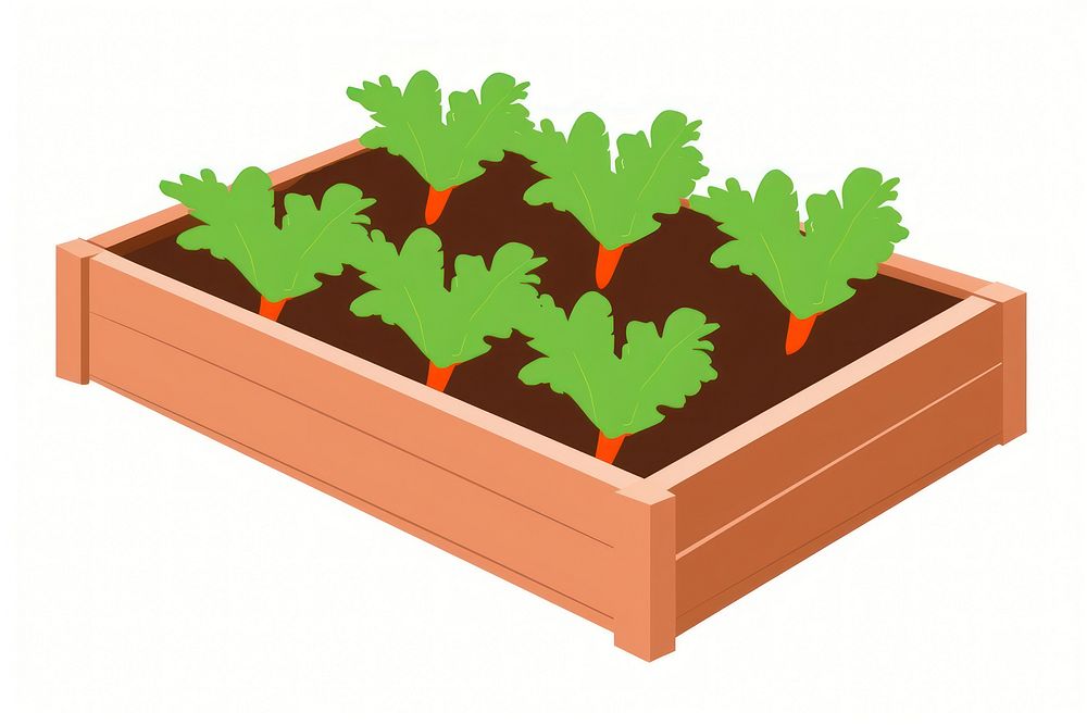 Garden bed illustration carrot plants.