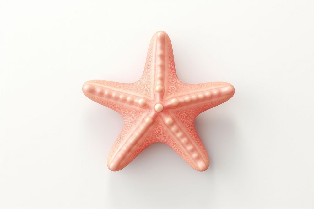 Star fish background starfish white.