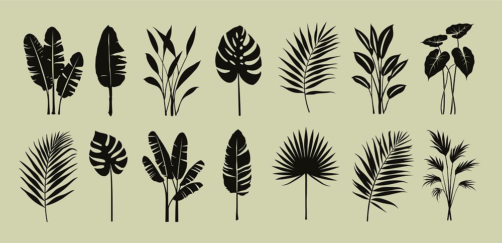 Silhouettes of tropical plant leaves, vector element set