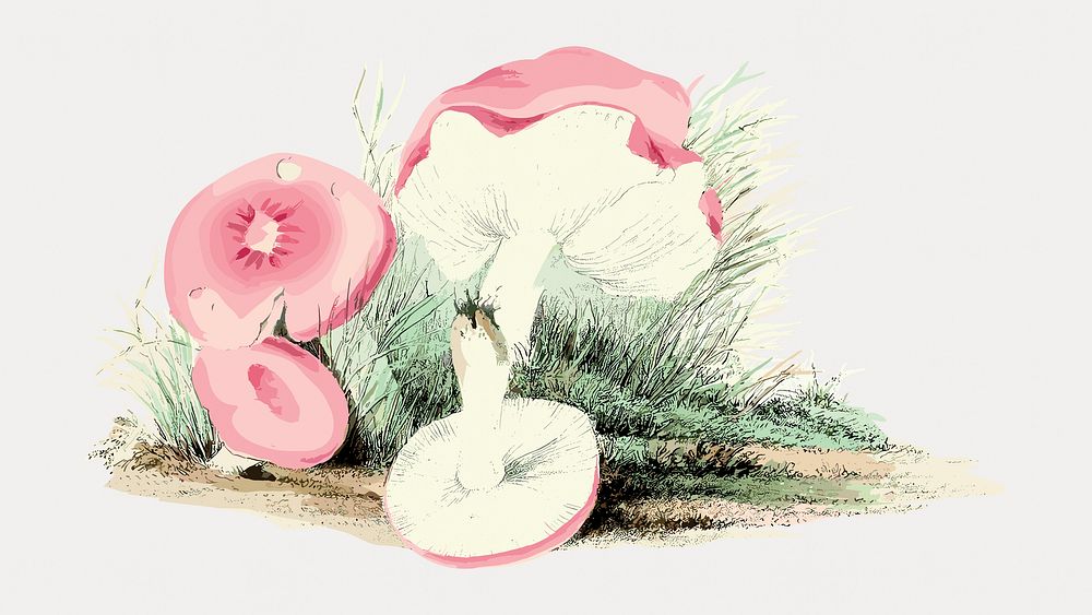 Vintage russula emetica mushroom illustration vector. Remixed by rawpixel.