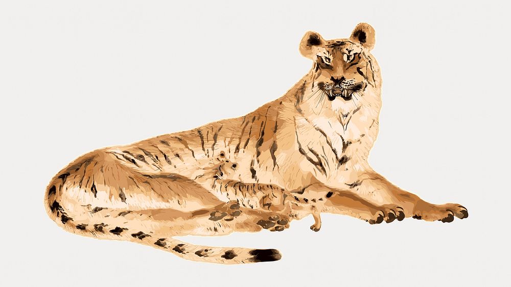 Reclining tiger, vintage animal illustration  isolated on white, vector. Remixed by rawpixel.