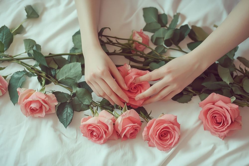 Hands carefully wrapping roses flower | Free Photo - rawpixel