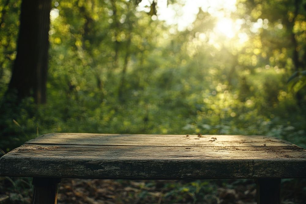 Empty wooden table top sunlight nature forest.