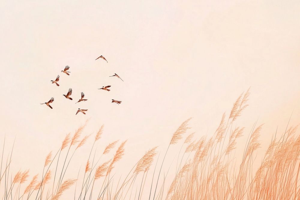 Simple background nature grass birds.