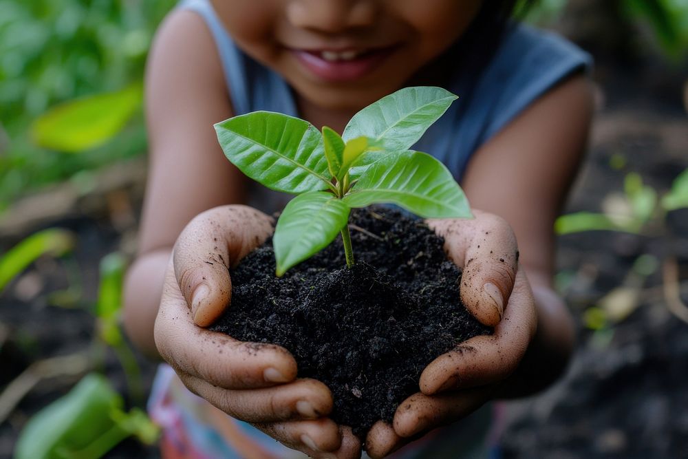 Outdoors nature plant soil.