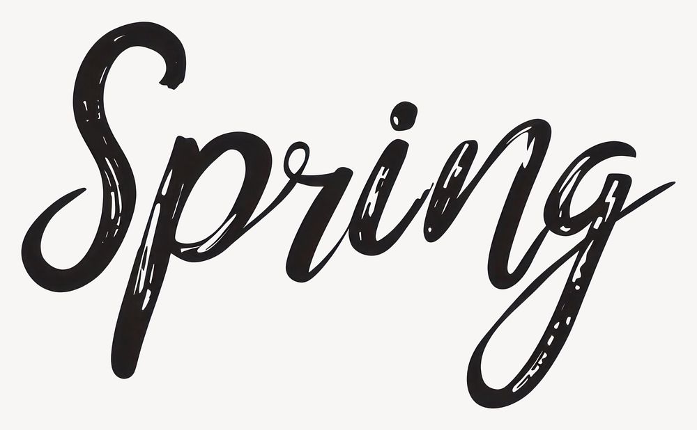 Calligraphy spring white handwriting vector