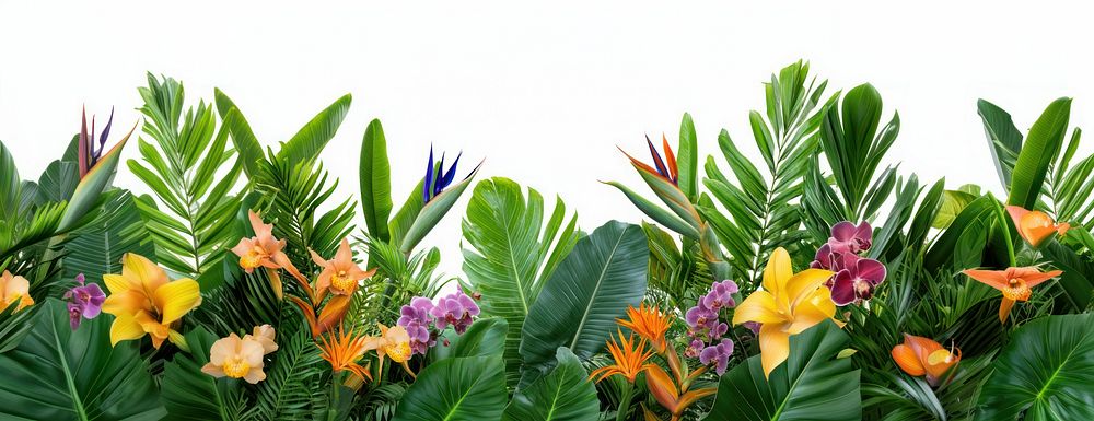 Tropical Palm Garden flowers leaves leaf.