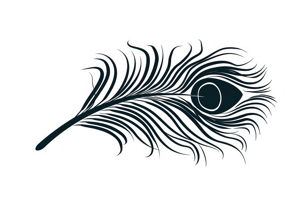 Peacock feather flying graphics black illustration.