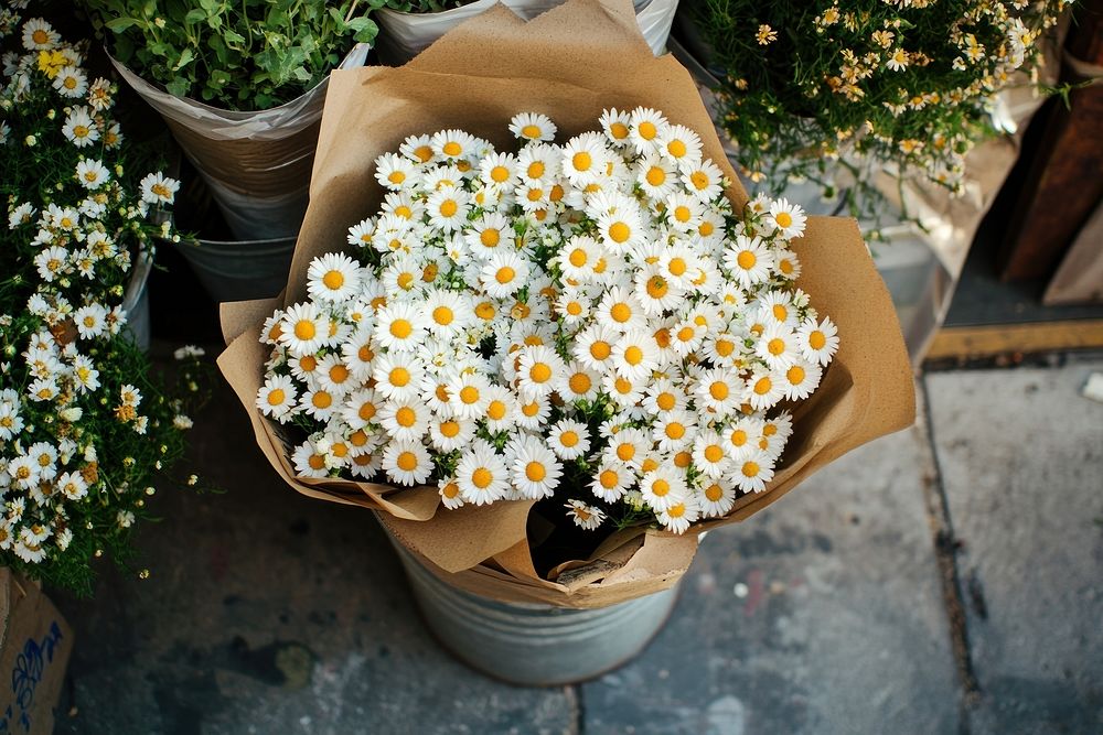 Large three bunches of white small daisies wrapped in brown paper and string flower daisy arrangement.