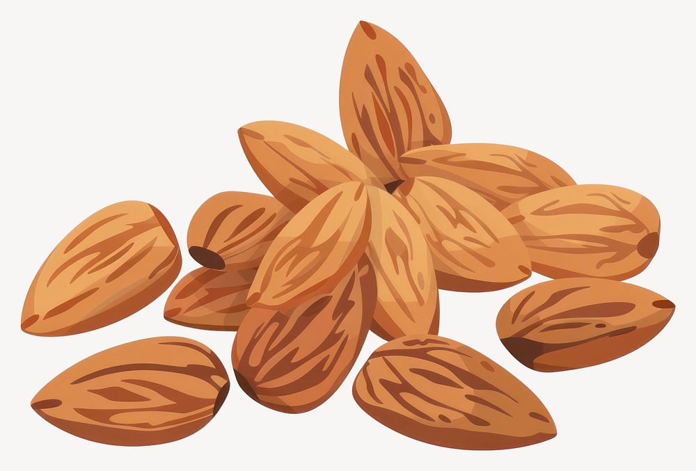 Group of almond almonds illustration food vector