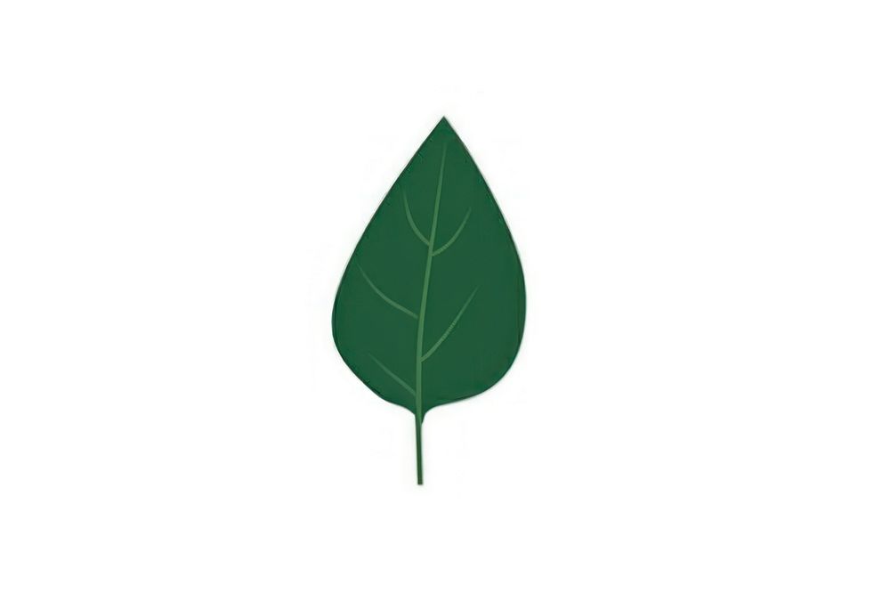 Green leaf illustration simple.