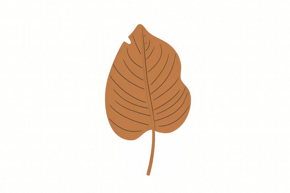 Tropical leaves leaf illustration nature.