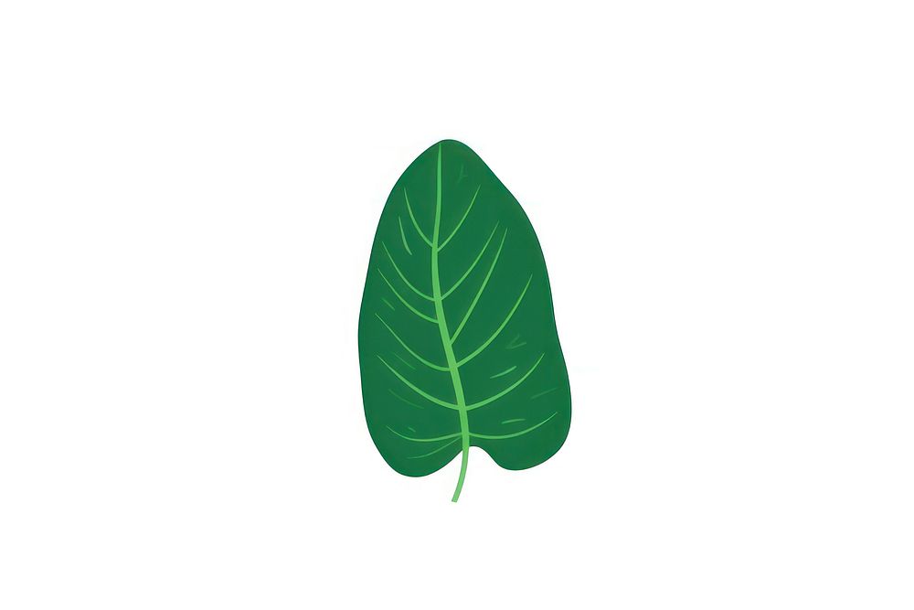 Tropical leaves leaf illustration nature.