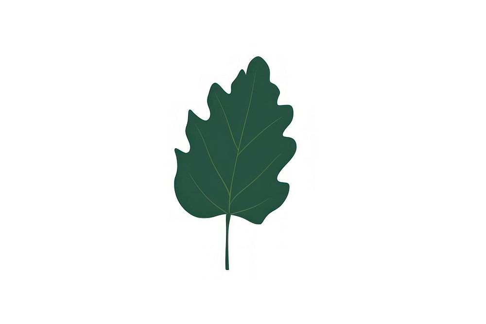 Tropical leaves leaf illustration simple.