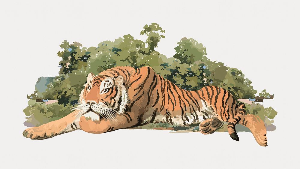 Tiger watercolor, vector element. Remixed by rawpixel.