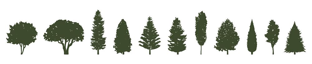 Silhouettes of various tree types, including pine, oak, and fir. Tree silhouettes in a row, showcasing diverse tree shapes…