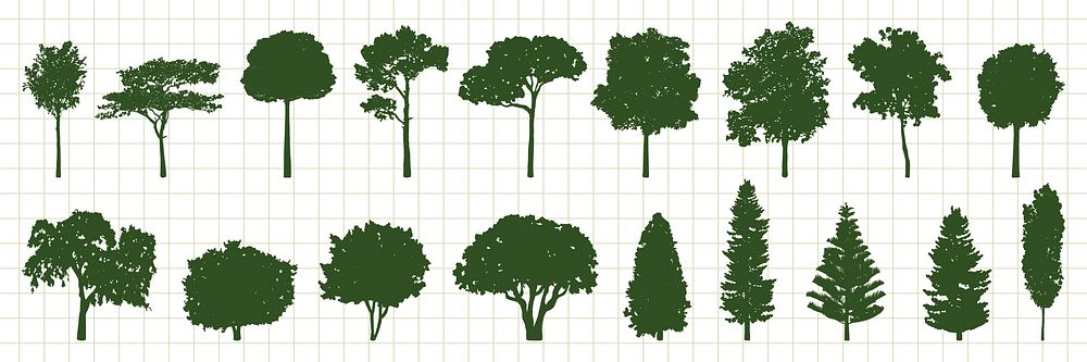 Silhouettes of various tree types on a grid background. Includes deciduous and coniferous trees. Tree silhouettes in green.…