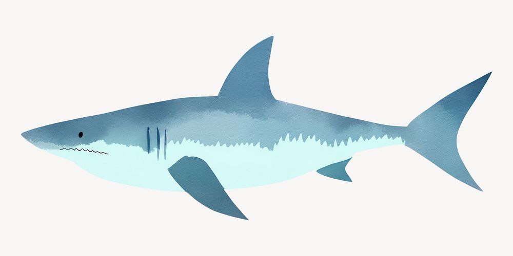 Shark animal fish white background  vector