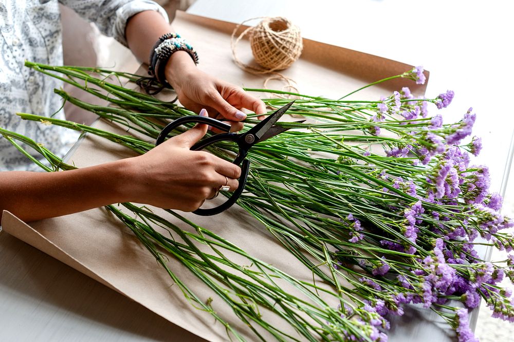 Scissor+women Image Images | Free Photos, PNG Stickers, Wallpapers ...