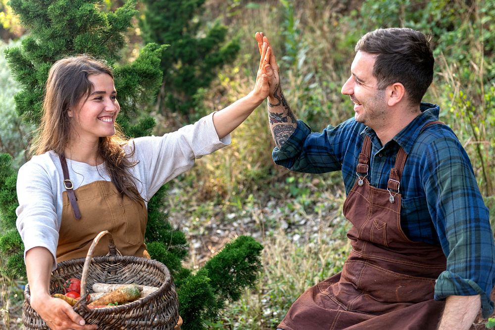 Teamwork Sustain Woman Images | Free Photos, PNG Stickers, Wallpapers ...