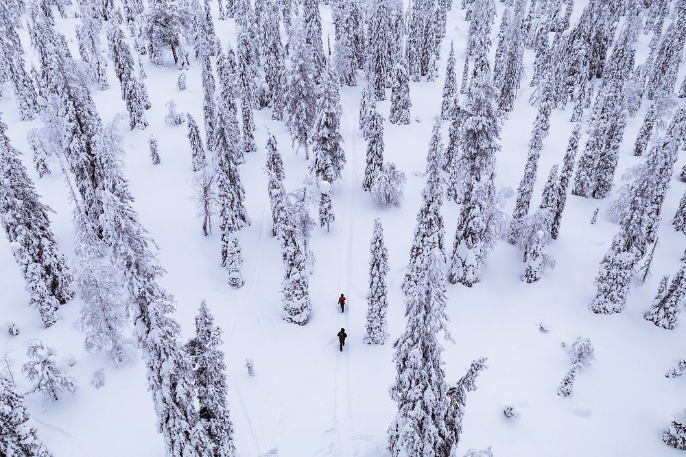 Skier+photo Snow Images | Free Photos, PNG Stickers, Wallpapers ...