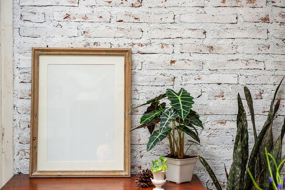 Photo+and+picture Background Images | Free Photos, PNG Stickers ...