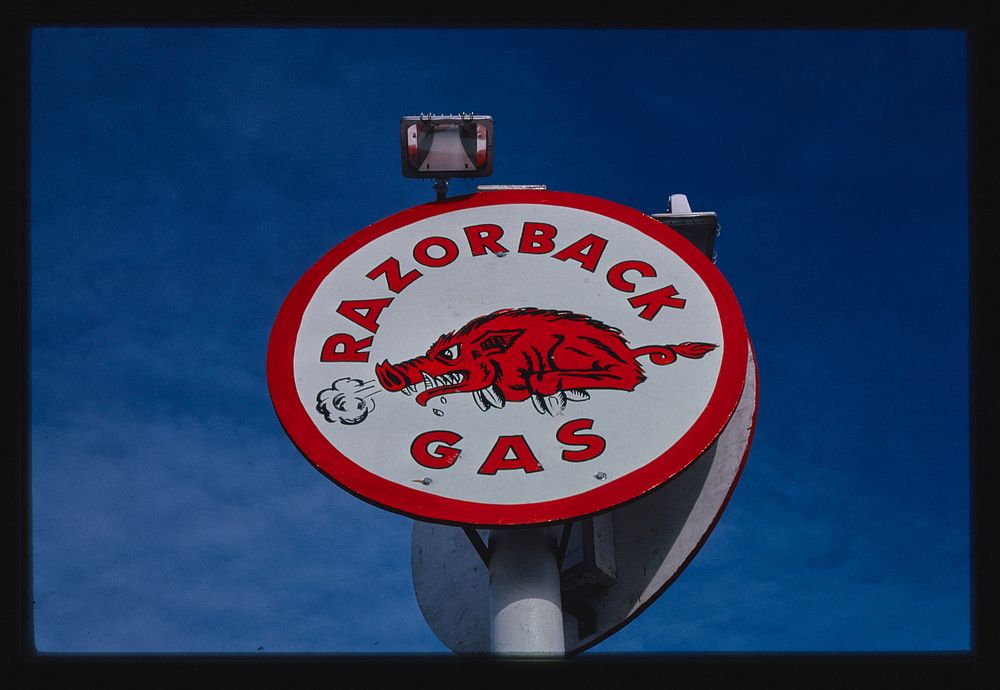 Razorback Gas sign, Siloam Springs, Arkansas (1984) photography in high resolution by John Margolies. Original from the…