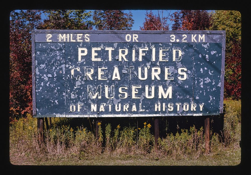 Petrified Creature Museum, Richfield Springs, New York (1995) photography in high resolution by John Margolies. Original…