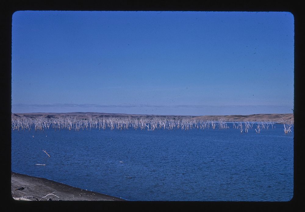 Lake, once a forest, near Mobridge, Mobridge, South Dakota (1987) photography in high resolution by John Margolies. Original…