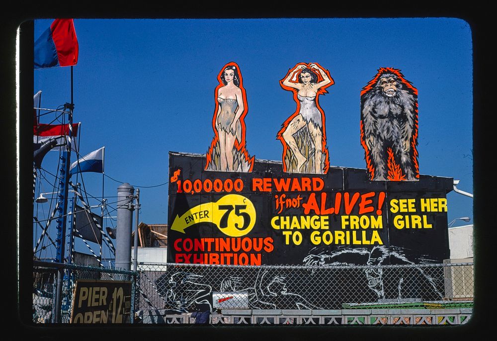 Gorilla Girl sign, Atlantic City, New Jersey (1978) photography in high resolution by John Margolies. Original from the…