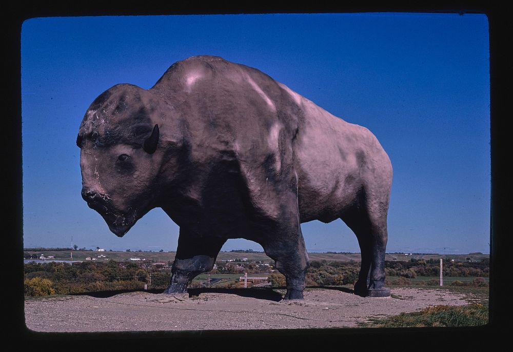 World's Largest Buffalo, Jamestown, North Dakota (1980) photography in high resolution by John Margolies. Original from the…