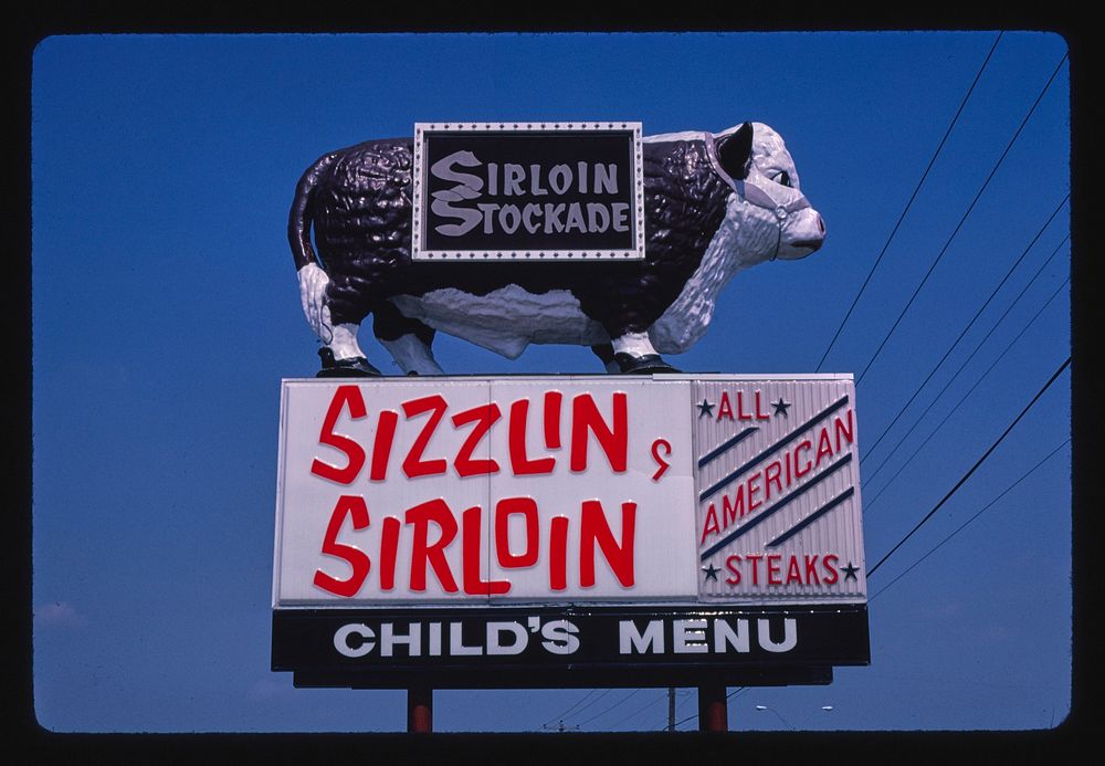 Sirloin Stockade bull, Austin, Texas (1983) photography in high resolution by John Margolies. Original from the Library of…