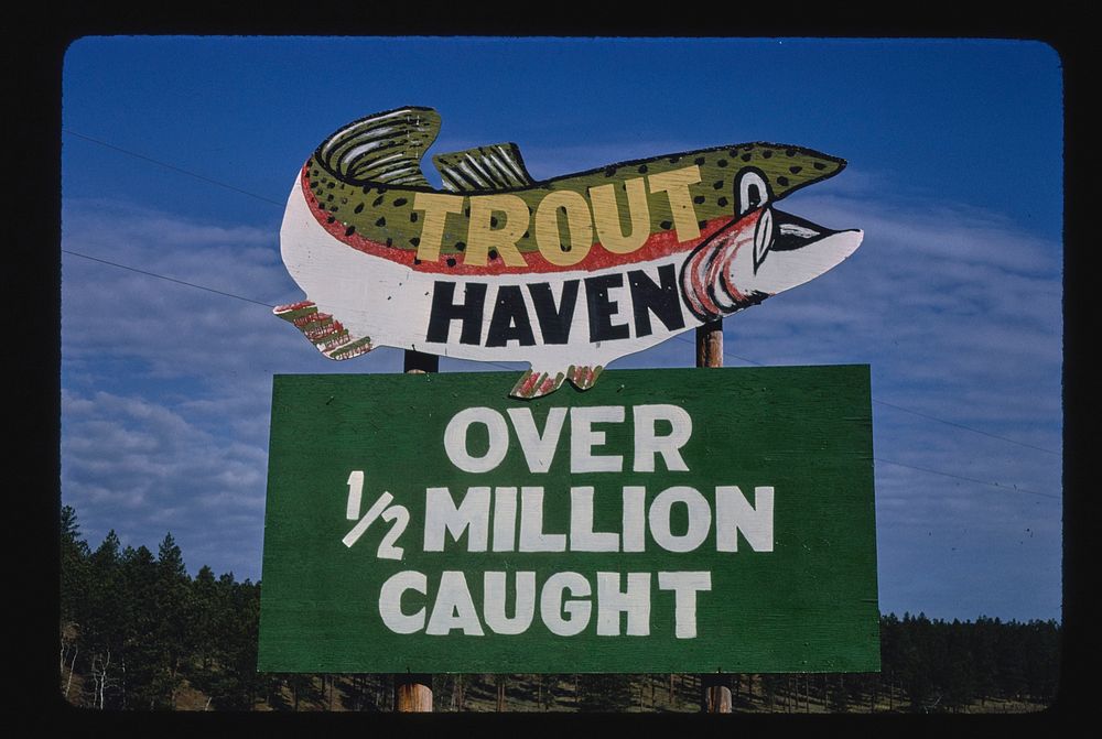 Trout Haven billboard, Route 385, Black Hills, South Dakota (1980) photography in high resolution by John Margolies.…