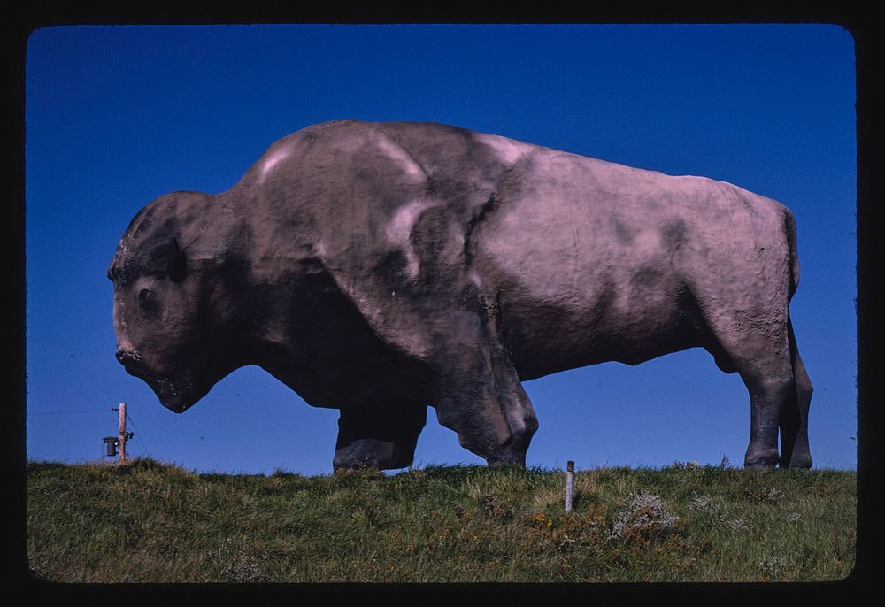 World's largest buffalo (46' long, 26' high, 60 tons), Jamestown, North Dakota (1990) photography in high resolution by John…
