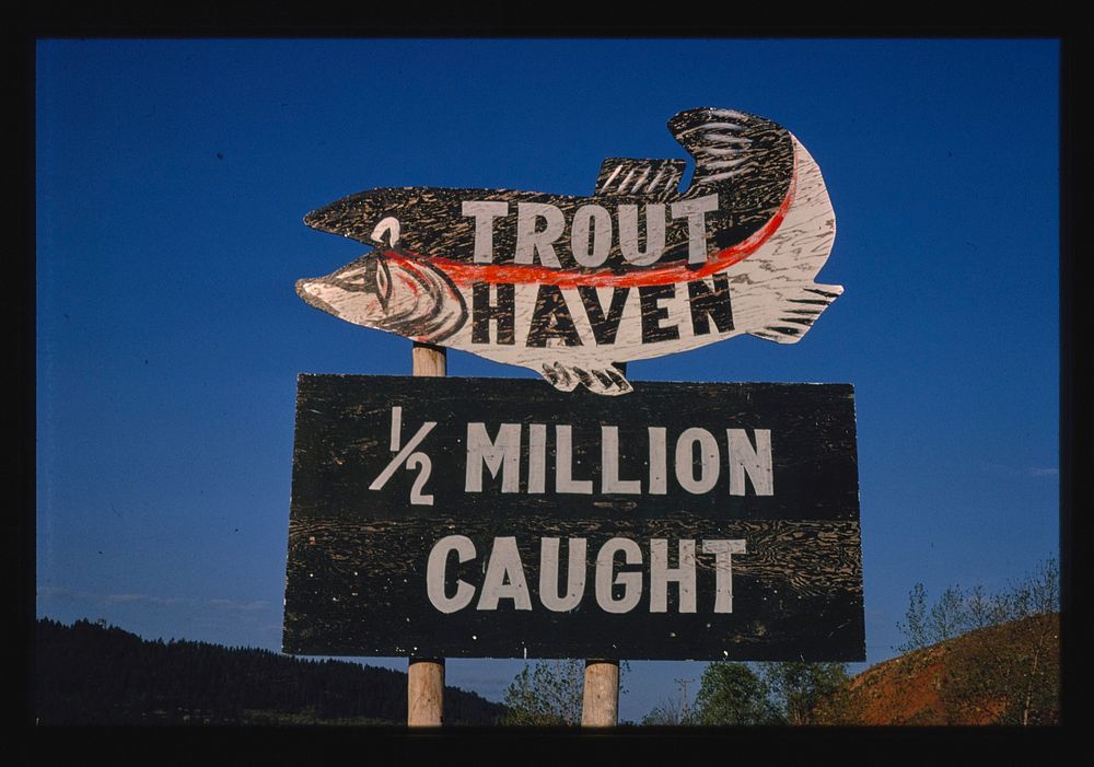 Sign "Trout Haven, 1/2 million Free Photo rawpixel