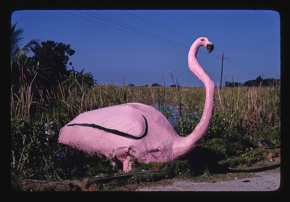 Roadside flamingo statue, Frog City, Route 41, Florida (1980) photography in high resolution by John Margolies. Original…