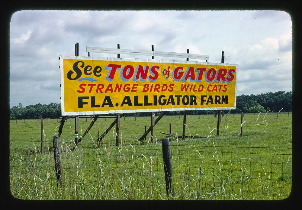 Billboard, Florida Alligator Farm, Route 301, Florida (1979) photography in high resolution by John Margolies. Original from…
