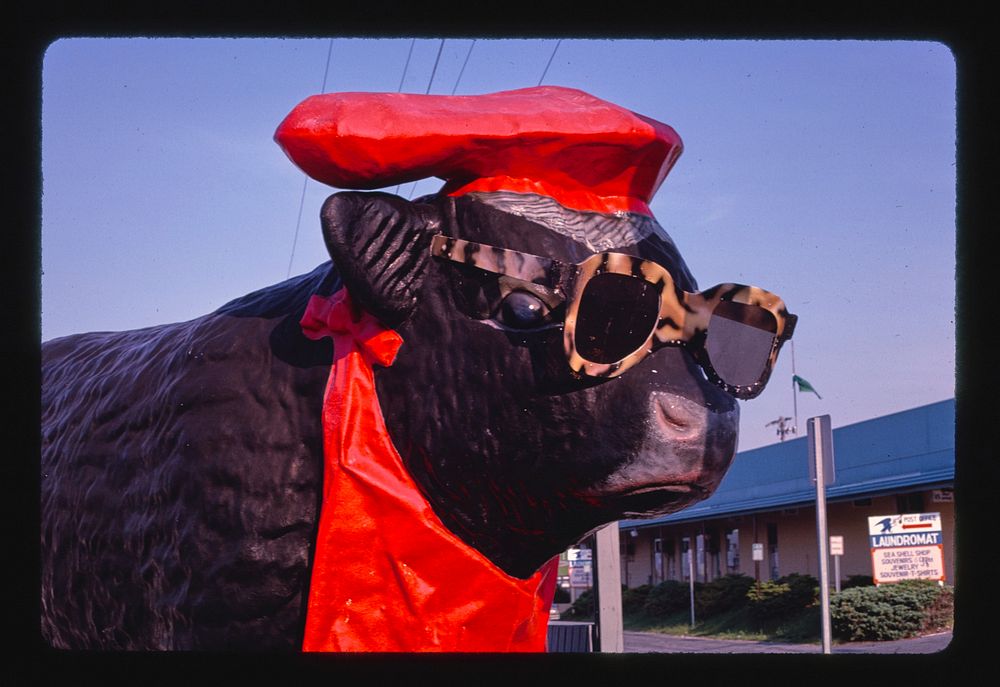 Captain Bob's BBQ Bull, horizontal, Ocean City, Maryland (1985) photography in high resolution by John Margolies. Original…