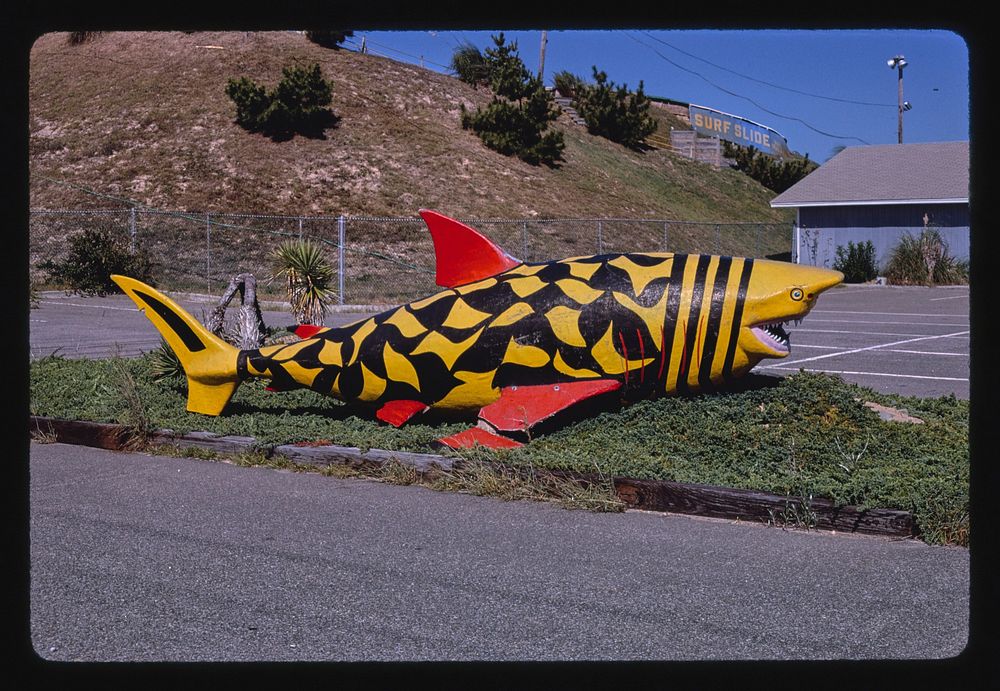Shark statue, Surf Side, Nags Head, North Carolina (1985) photography in high resolution by John Margolies. Original from…