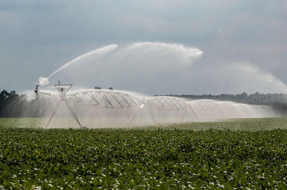Pivot irrigation with rotating and end gun style pivot sprinkler in Hanover, Virginia. Original public domain image from…