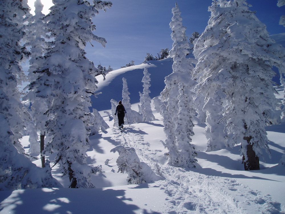 Ski Touring through New Year’s RimeNear Ben Lomond Peak, Ogden Ranger District, UT, Uinta-Wasatch-Cache National Forest.…