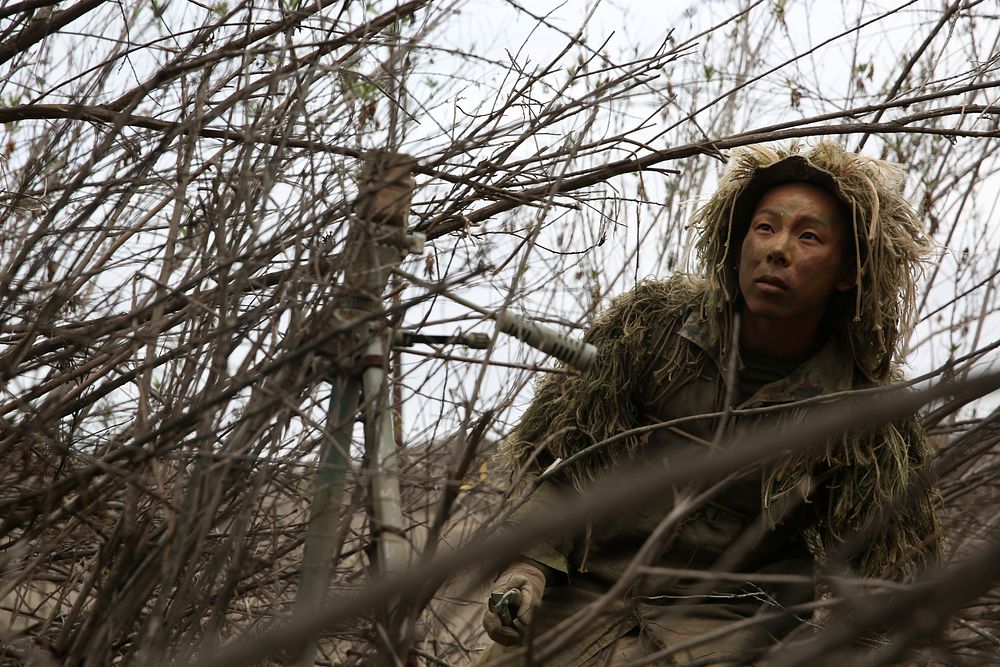 A member of the Japan Ground Self-Defense Force conceals his position with bushes and tree branches during sniper training…