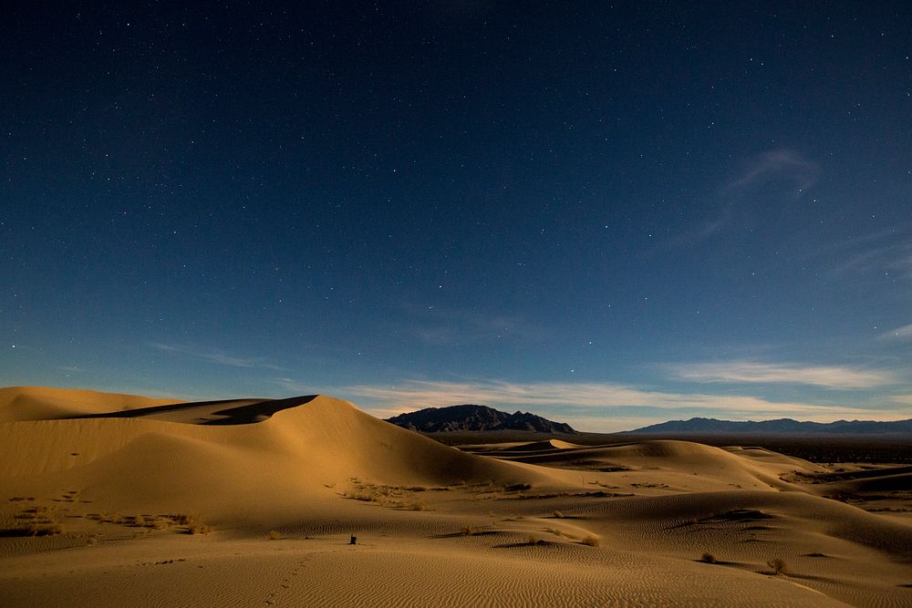 These small dunes were formed by north winds pushing sands off the Cadiz Dry Lake. The pristine nature of the dunes and the…