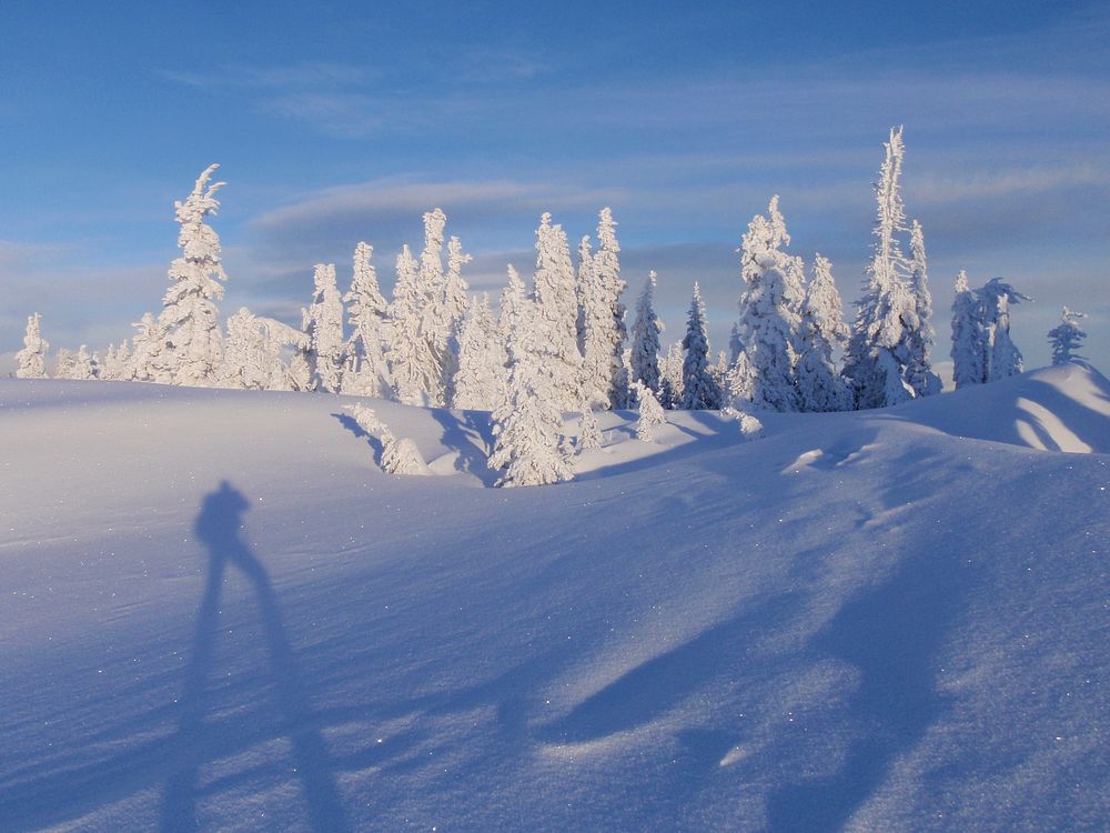 Snow Hurricane ridge. Original public domain image from Flickr